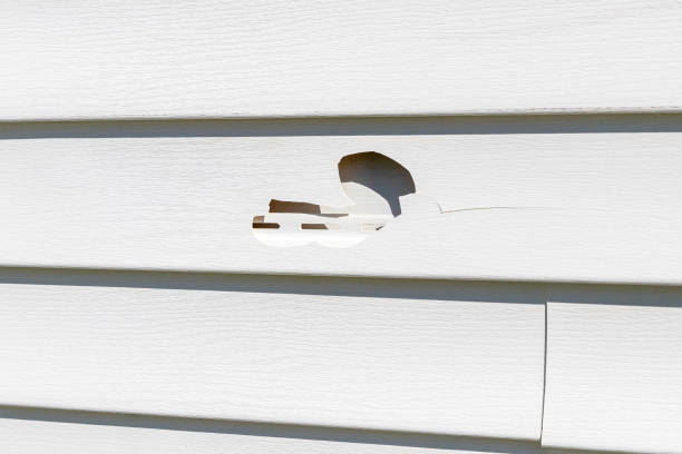 Best Storm Damage Siding Repair  in Arnold, CA